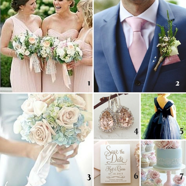 Blush and Blue Color Board.jpg